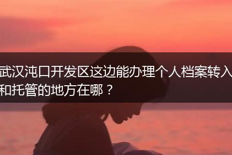 武汉沌口开发区这边能办理个人档案转入和托管的地方在哪？