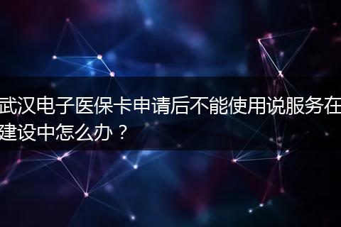 武汉电子医保卡申请后不能使用说服务在建设中怎么办？