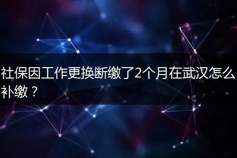 社保因工作更换断缴了2个月在武汉怎么补缴？