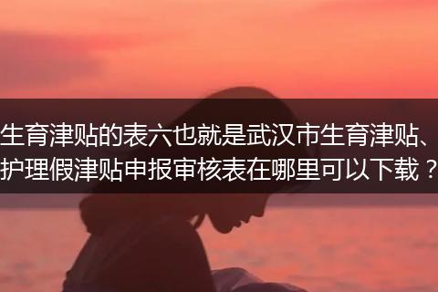 生育津贴的表六也就是武汉市生育津贴、护理假津贴申报审核表在哪里可以下载？