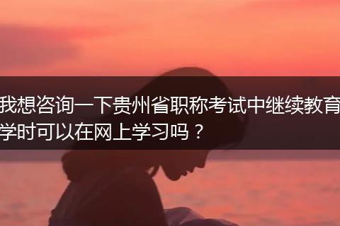 我想咨询一下贵州省职称考试中继续教育学时可以在网上学习吗？
