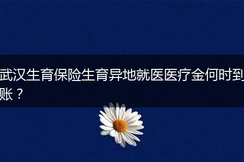 武汉生育保险生育异地就医医疗金何时到账？