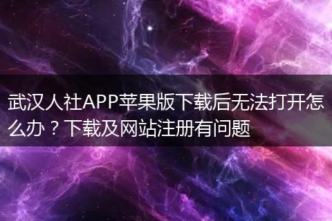 武汉人社APP苹果版下载后无法打开怎么办？下载及网站注册有问题