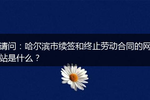 请问：哈尔滨市续签和终止劳动合同的网站是什么？