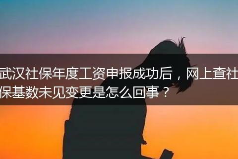 武汉社保年度工资申报成功后，网上查社保基数未见变更是怎么回事？