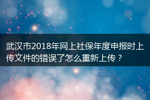 武汉市2018年网上社保年度申报时上传文件的错误了怎么重新上传？