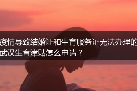 疫情导致结婚证和生育服务证无法办理的武汉生育津贴怎么申请？