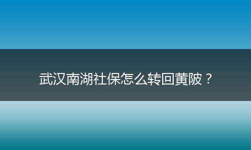 武汉南湖社保怎么转回黄陂？