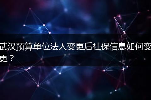 武汉预算单位法人变更后社保信息如何变更？