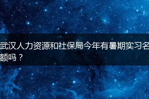 武汉人力资源和社保局今年有暑期实习名额吗？