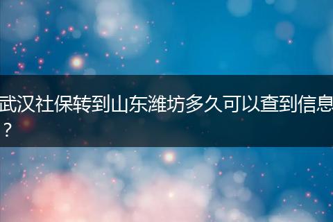 武汉社保转到山东潍坊多久可以查到信息？