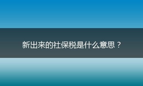 新出来的社保税是什么意思？