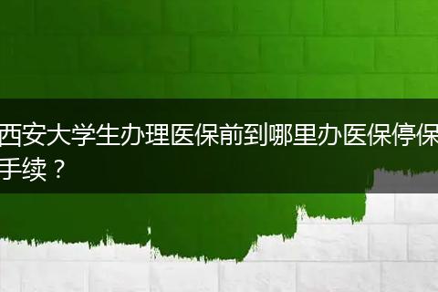 西安大学生办理医保前到哪里办医保停保手续？
