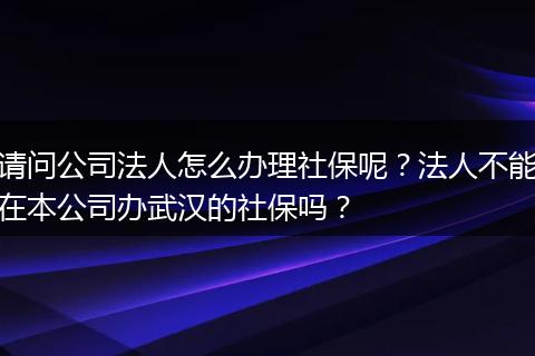 请问公司法人怎么办理社保呢？法人不能在本公司办武汉的社保吗？