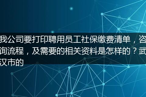 我公司要打印聘用员工社保缴费清单，咨询流程，及需要的相关资料是怎样的？武汉市的