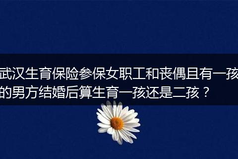 武汉生育保险参保女职工和丧偶且有一孩的男方结婚后算生育一孩还是二孩？