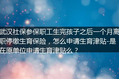 武汉社保参保职工生完孩子之后一个月离职停缴生育保险，怎么申请生育津贴-是在原单位申请生育津贴么？