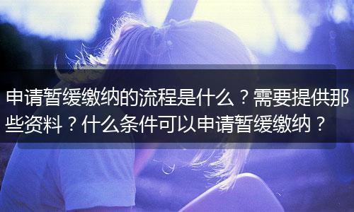 申请暂缓缴纳的流程是什么？需要提供那些资料？什么条件可以申请暂缓缴纳？