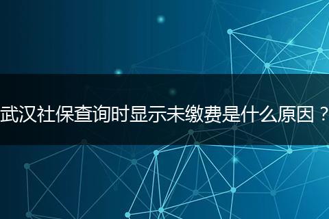 武汉社保查询时显示未缴费是什么原因？