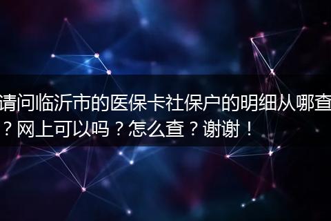 请问临沂市的医保卡社保户的明细从哪查？网上可以吗？怎么查？谢谢！