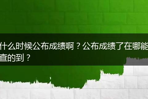 什么时候公布成绩啊？公布成绩了在哪能查的到？