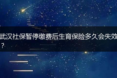 武汉社保暂停缴费后生育保险多久会失效？