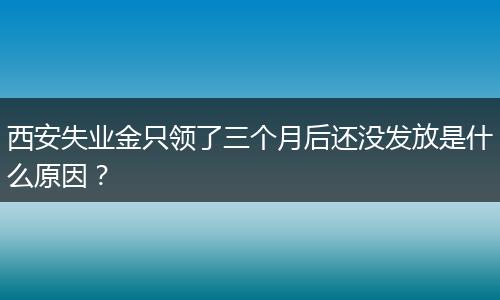 西安失业金只领了三个月后还没发放是什么原因？