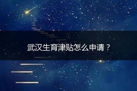 武汉生育津贴怎么申请？