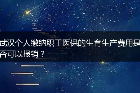 武汉个人缴纳职工医保的生育生产费用是否可以报销？