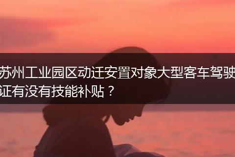 苏州工业园区动迁安置对象大型客车驾驶证有没有技能补贴？