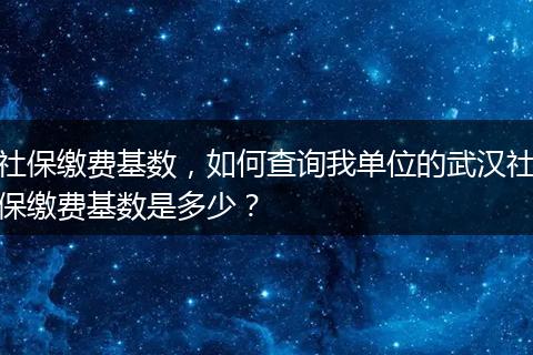 社保缴费基数,如何查询我单位的武汉社保缴费基数是多少?