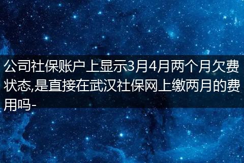 公司社保账户上显示3月4月两个月欠费状态,是直接在武汉社保网上缴两月的费用吗-