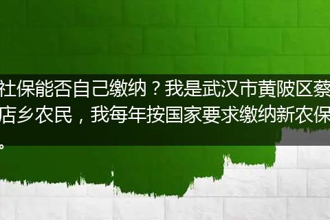 社保能否自己缴纳？我是武汉市黄陂区蔡店乡农民，我每年按国家要求缴纳新农保。