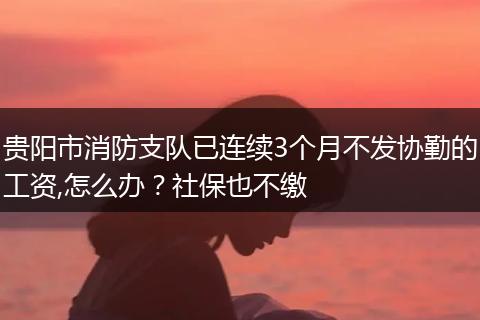 贵阳市消防支队已连续3个月不发协勤的工资,怎么办？社保也不缴