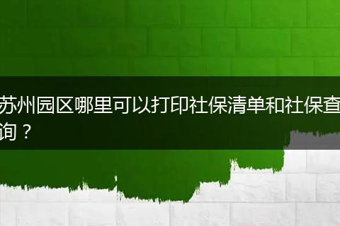苏州园区哪里可以打印社保清单和社保查询？