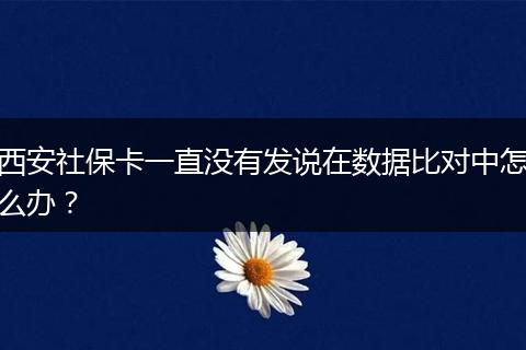 西安社保卡一直没有发说在数据比对中怎么办？