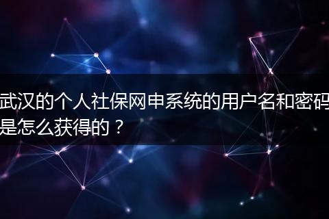 武汉的个人社保网申系统的用户名和密码是怎么获得的？