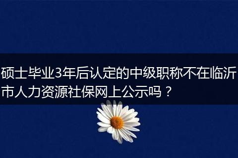 硕士毕业3年后认定的中级职称不在临沂市人力资源社保网上公示吗？