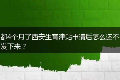 都4个月了西安生育津贴申请后怎么还不发下来？
