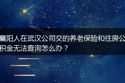 襄阳人在武汉公司交的养老保险和住房公积金无法查询怎么办？