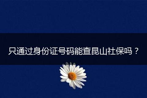 只通过身份证号码能查昆山社保吗？