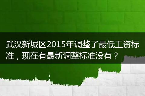 武汉新城区2015年调整了最低工资标准，现在有最新调整标准没有？