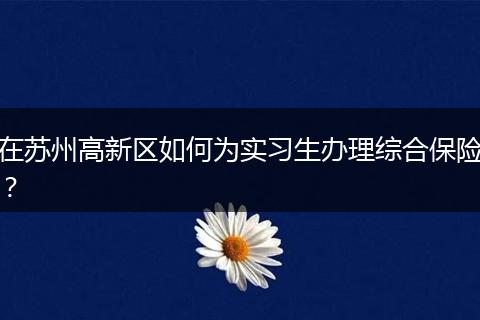 在苏州高新区如何为实习生办理综合保险？