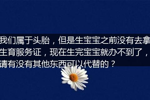 我们属于头胎，但是生宝宝之前没有去拿生育服务证，现在生完宝宝就办不到了，请有没有其他东西可以代替的？