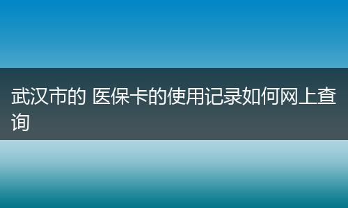 武汉市的 医保卡的使用记录如何网上查询