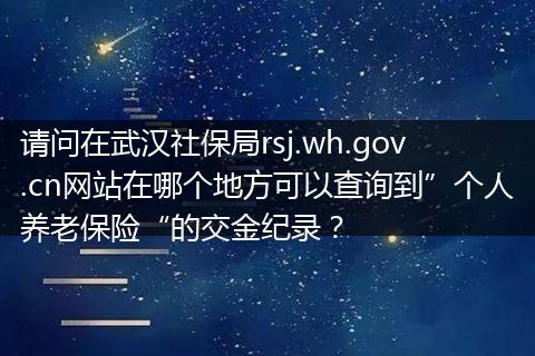 请问在武汉社保局rsj.wh.gov.cn网站在哪个地方可以查询到”个人养老保险“的交金纪录？
