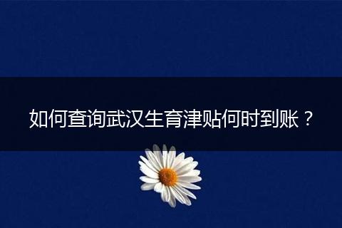 如何查询武汉生育津贴何时到账？