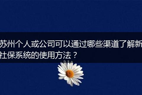 苏州个人或公司可以通过哪些渠道了解新社保系统的使用方法？