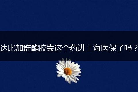 达比加群酯胶囊这个药进上海医保了吗？