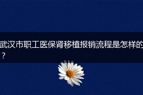 武汉市职工医保肾移植报销流程是怎样的？